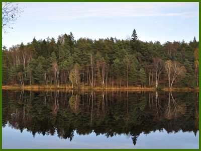 Skogen denna höst dag