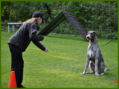 Husse och Iriz