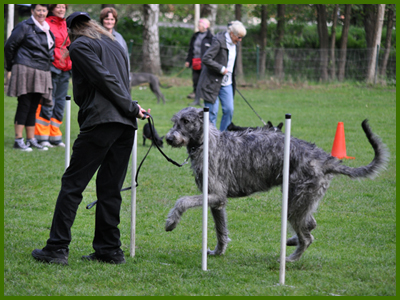 Husse och Iriz